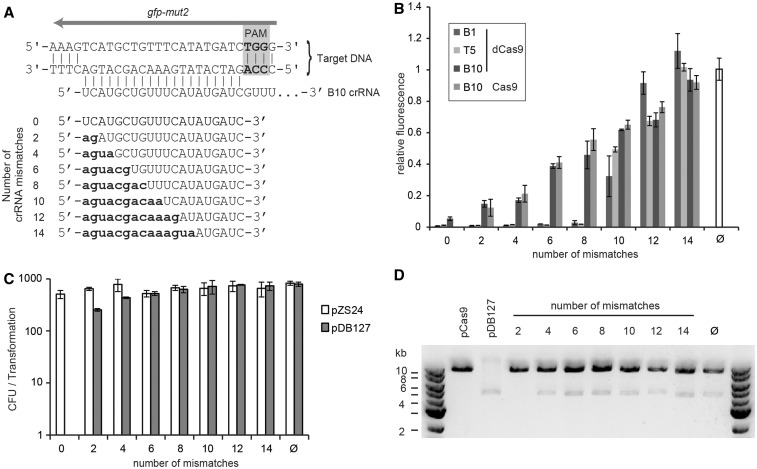 Figure 2.