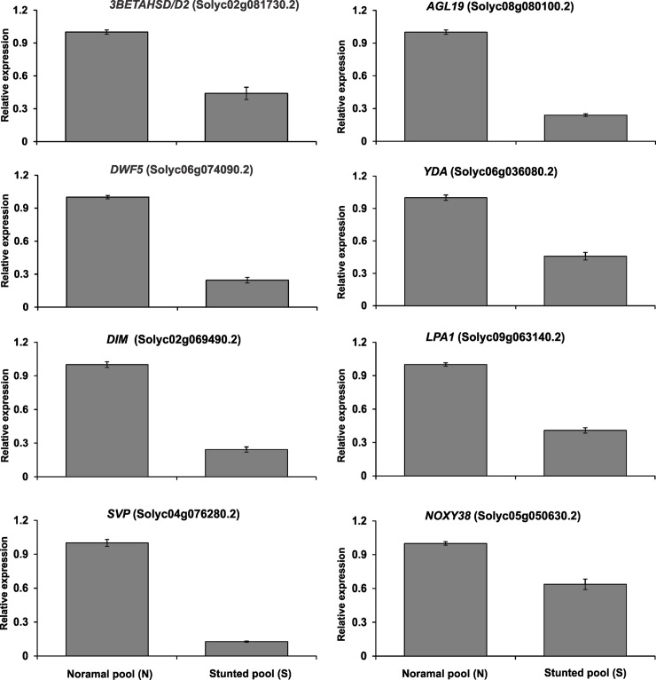 Fig 10