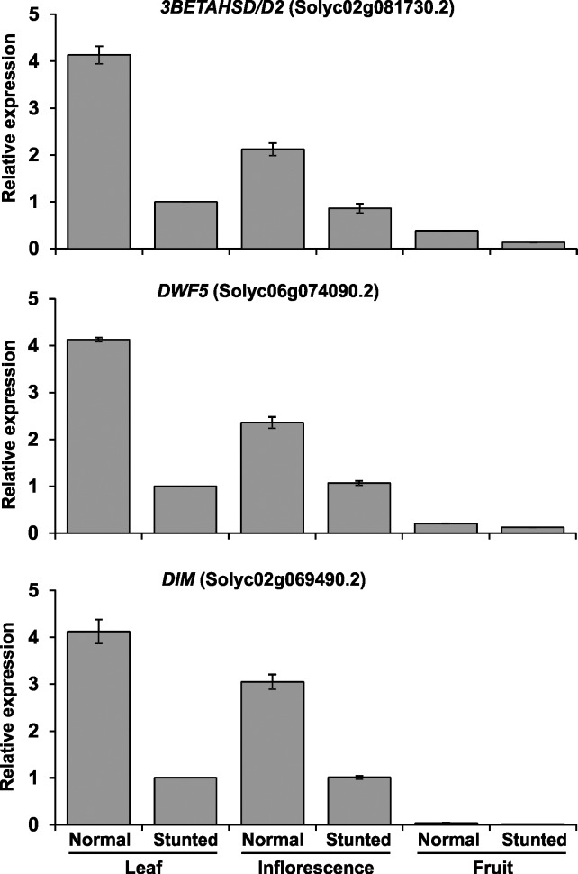 Fig 11