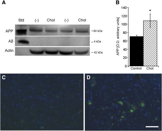 Fig. 3