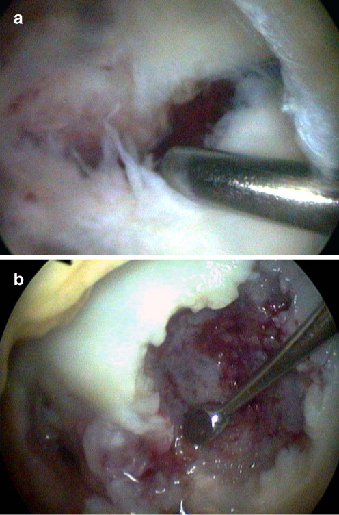 Fig. 3