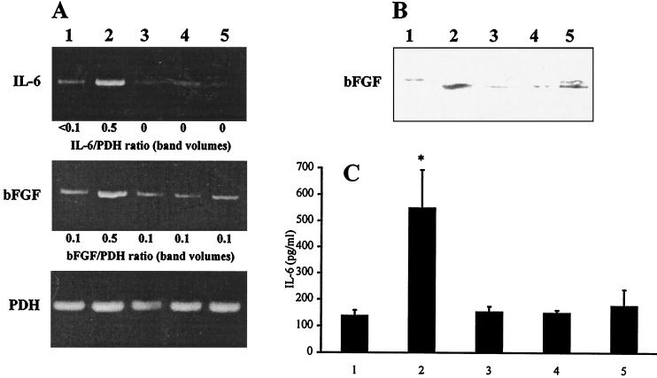 FIG. 6