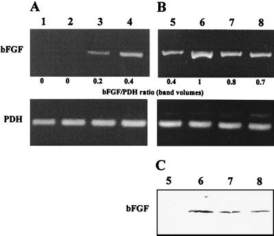 FIG. 7