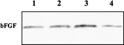 FIG. 9