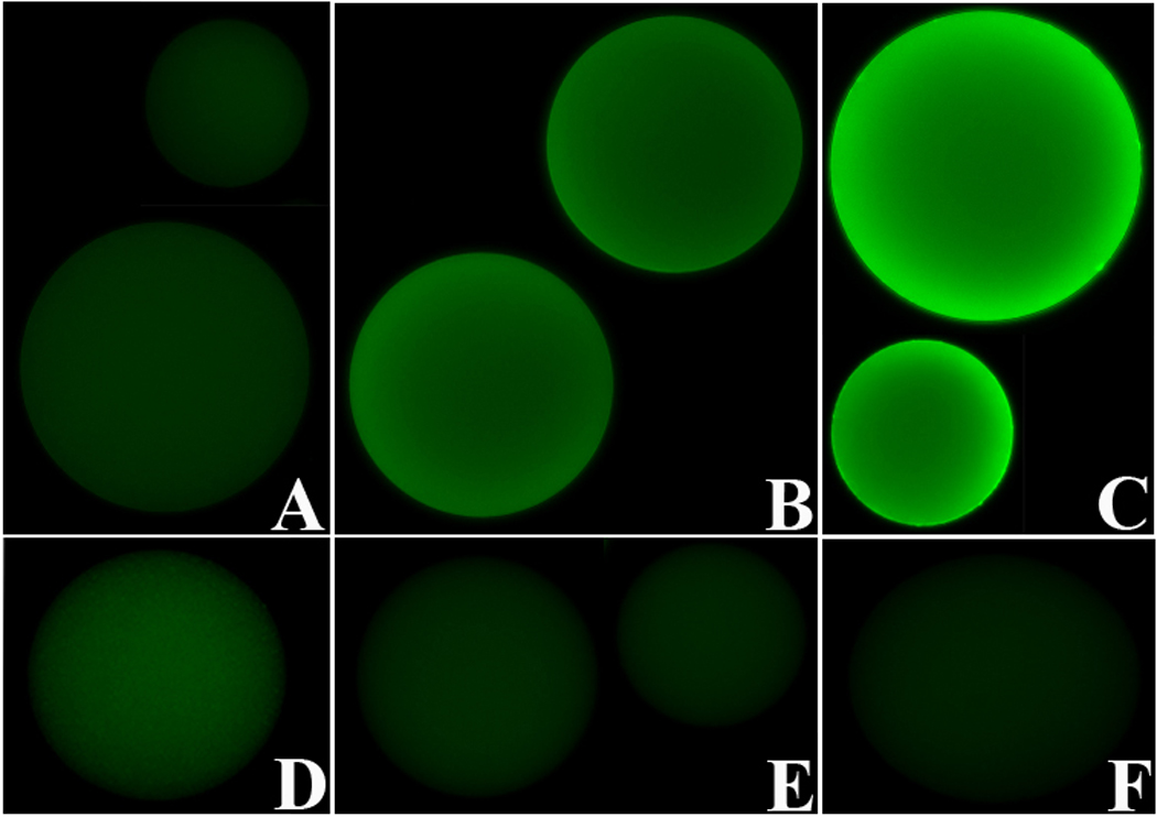 Fig. 8