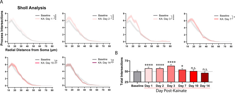 Figure 5—figure supplement 1.