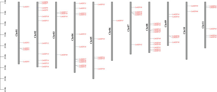 Figure 1