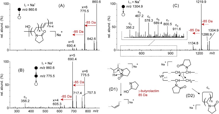 Fig. 3. (A) ESI-MS/MS of a sodiated 7-mer of the distribution I at m/z 860.6 and (B) ESI-MS3 spectrum of m/z 775.5 formed upon the release of γ-butyrolactim (85.1 Da) from m/z 860.6. (C) ESI-MS/MS spectrum of a sodiated 11-mer of the distribution I at m/z 1304.9. (D) Proposed charge remote mechanisms accounting for 1) the release of γ-butyrolactim through a 1,5-H rearrangement and 2) the formation of cyclic cn product ions upon intramolecular bond translocation.