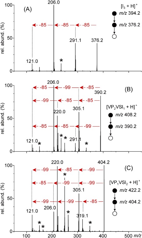 Fig. 7. ESI-MS3 spectra of dehydrated PVP and P(VP-co-VSI) 3-mers at m/z 376.2 (VP3), m/z 390.2 (VP2VSI1) and m/z 404.2 (VP1VSI2) formed upon the release of water from the protonated (co-)oligomers. Asterisks designate the product ions formed upon the loss of 58.0 Da neutral (proposed to be C3H6O) from the 2-hydroxyisopropyl termination.