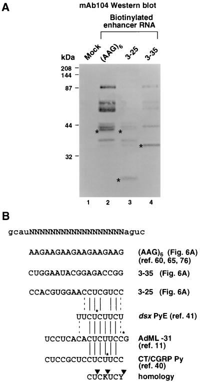 FIG. 6