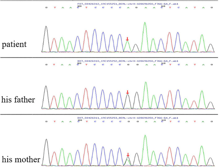 FIGURE 1