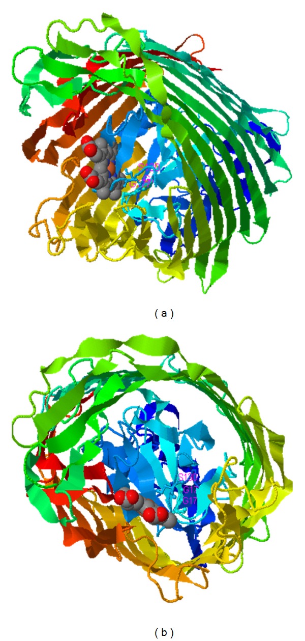 Figure 6