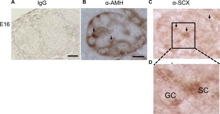 FIG. 6