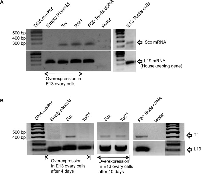 FIG. 7