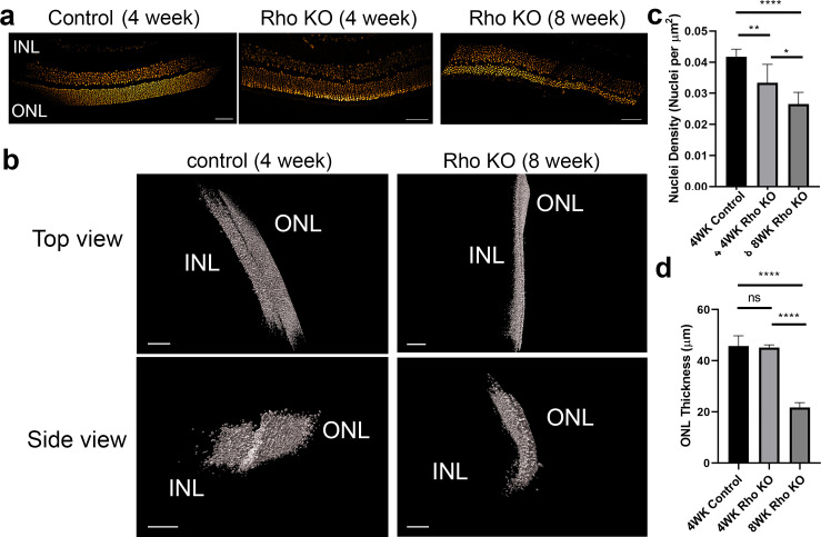 Figure 2—figure supplement 1.