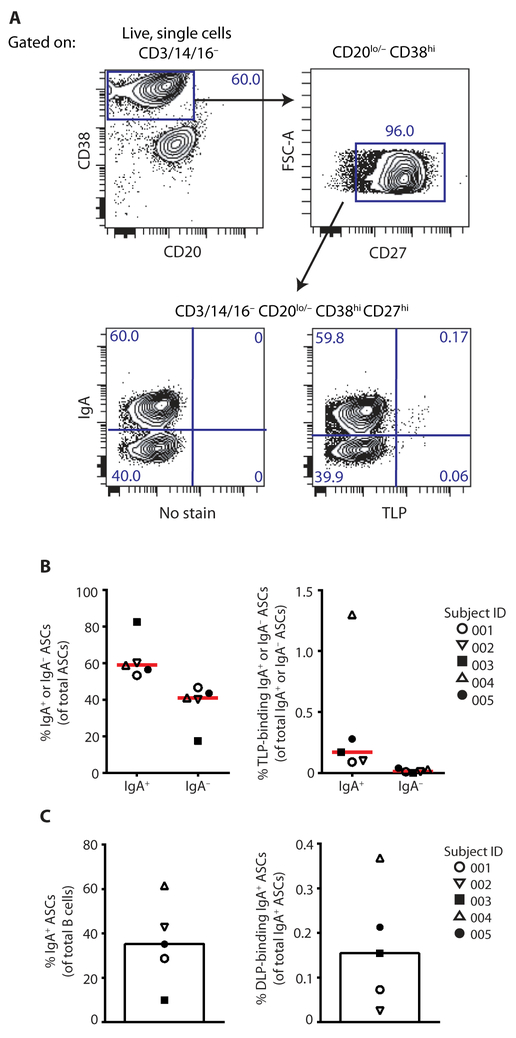 Fig. 2.