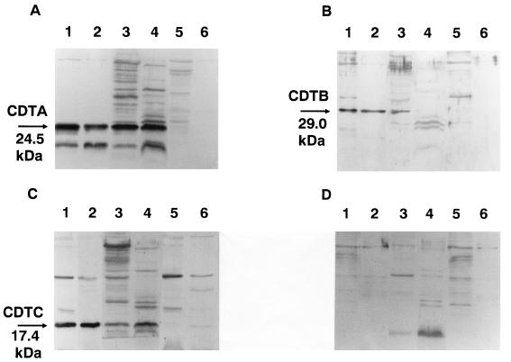 FIG. 7