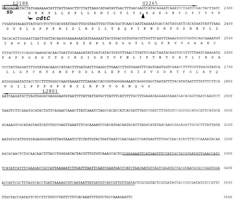 FIG. 3