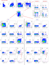 Figure 1—figure supplement 1.