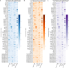 Figure 2—figure supplement 1.