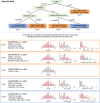 Figure 5—figure supplement 1.