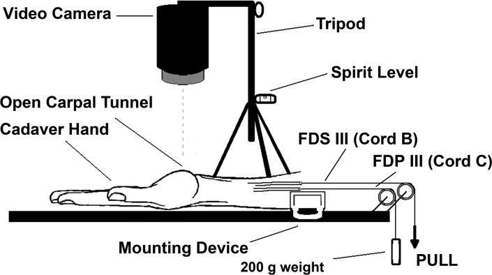 Figure 3B