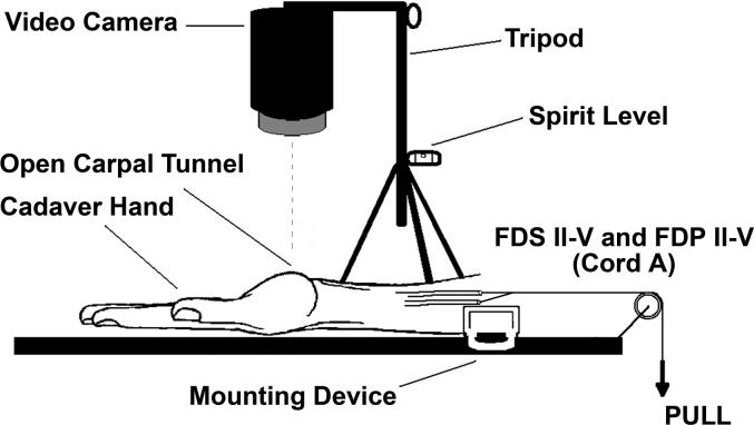 Figure 3A