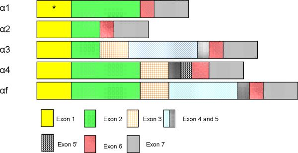 Fig 1B