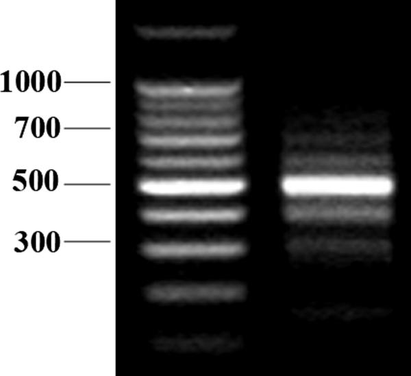 Fig 1A