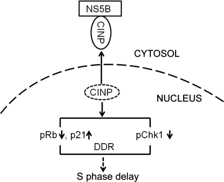 FIGURE 9.