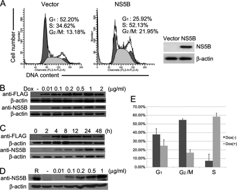 FIGURE 1.