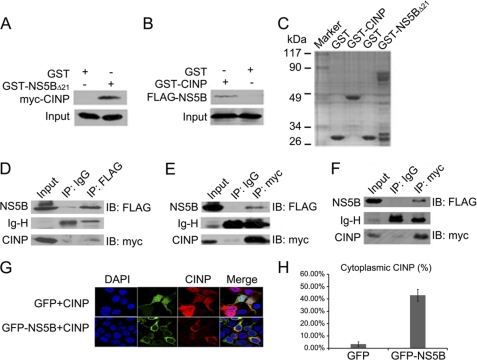 FIGURE 2.