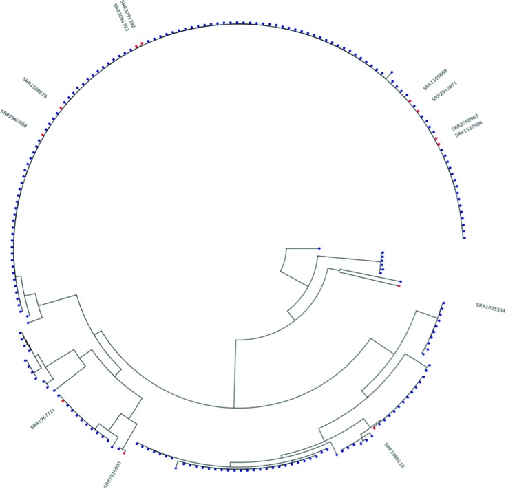 Fig. 5.