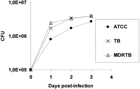 FIG. 2.