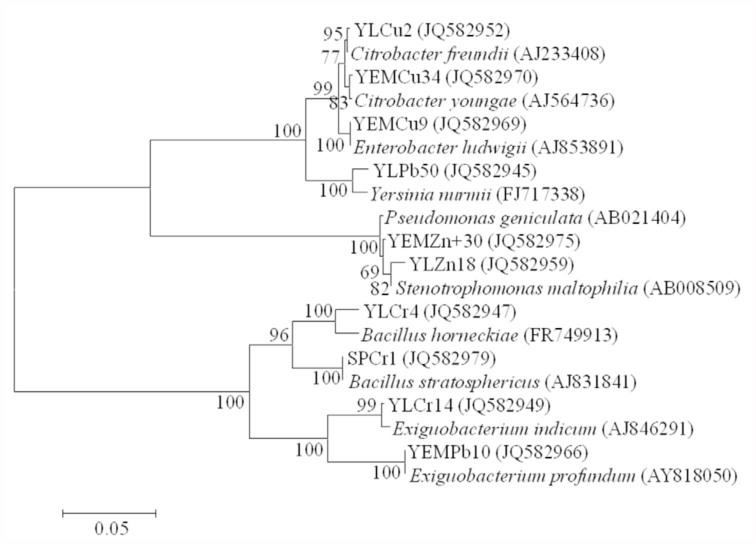 Figure 3. 