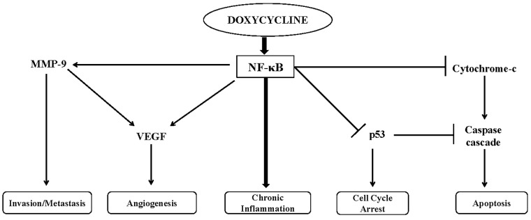 Fig 10