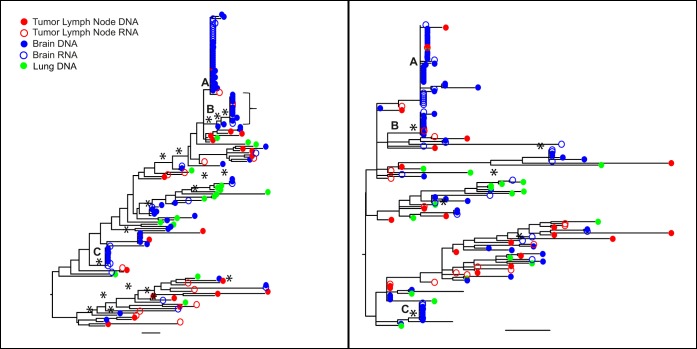 FIG 2