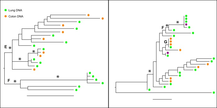 FIG 3