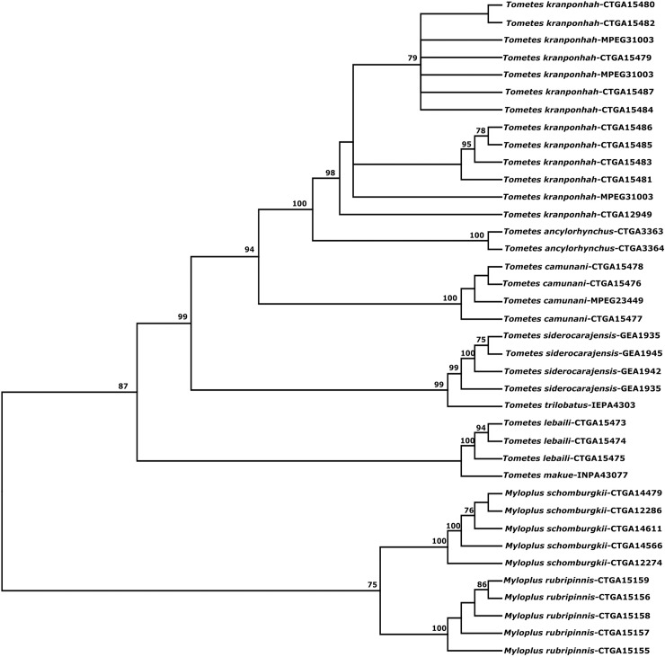 Fig 6