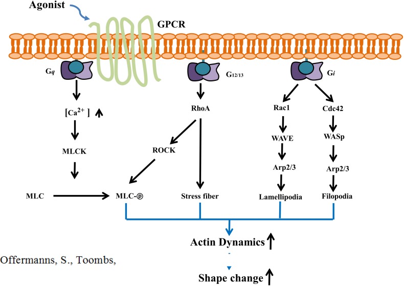 Fig. 2.