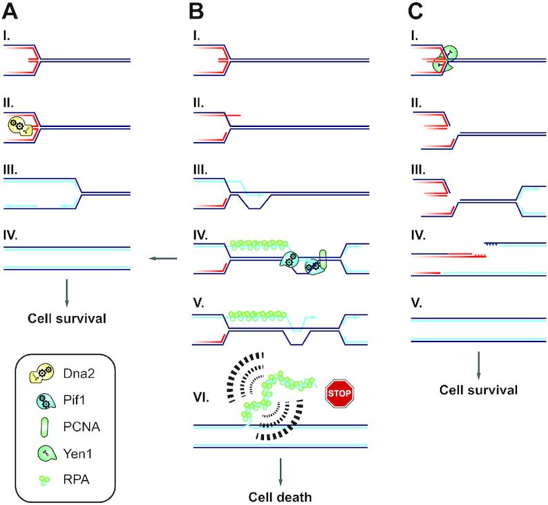 Figure 7.