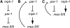 F<sc>igure</sc> 6.—