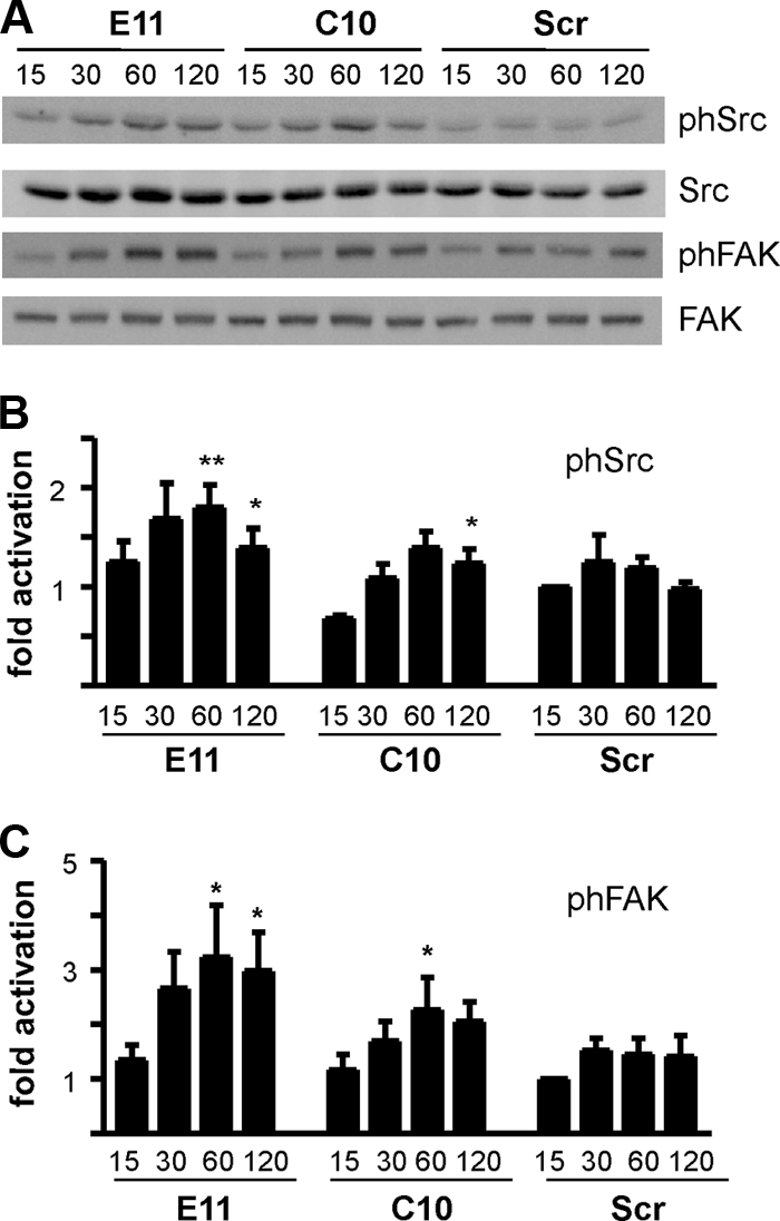 FIG. 9.