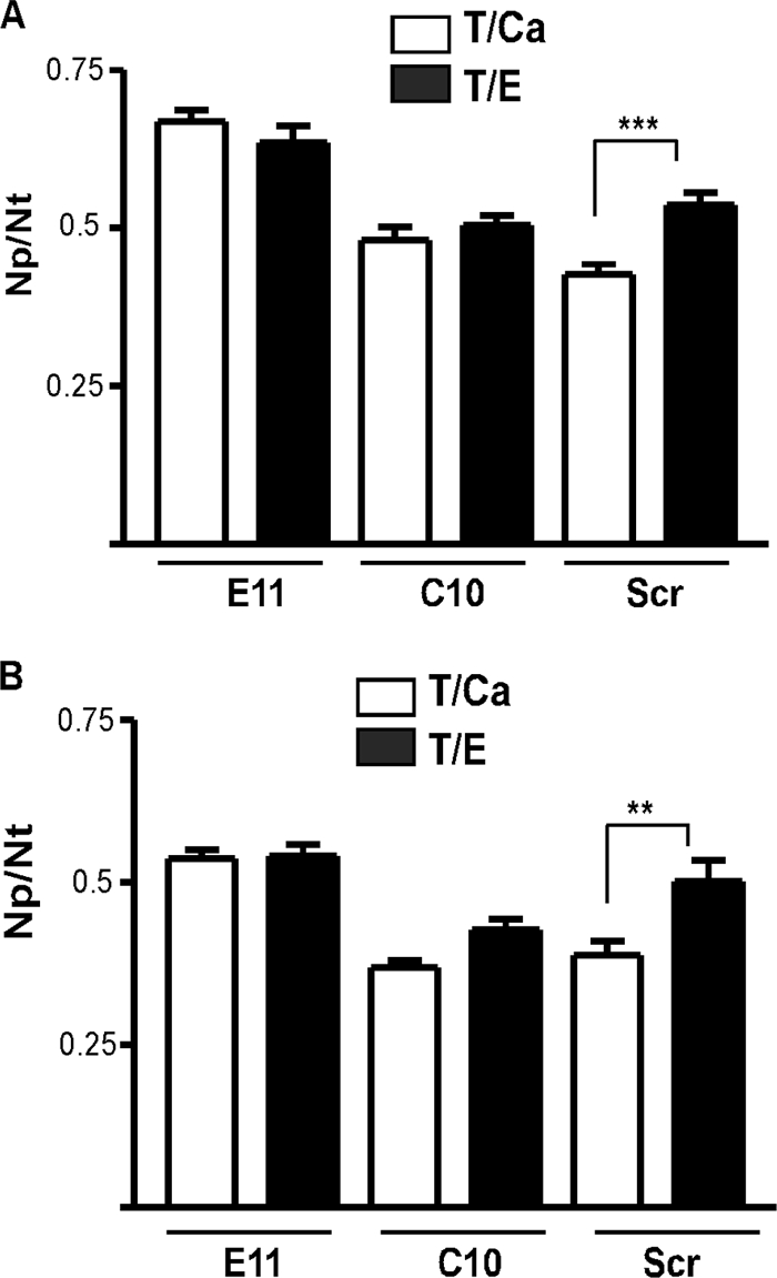 FIG. 5.