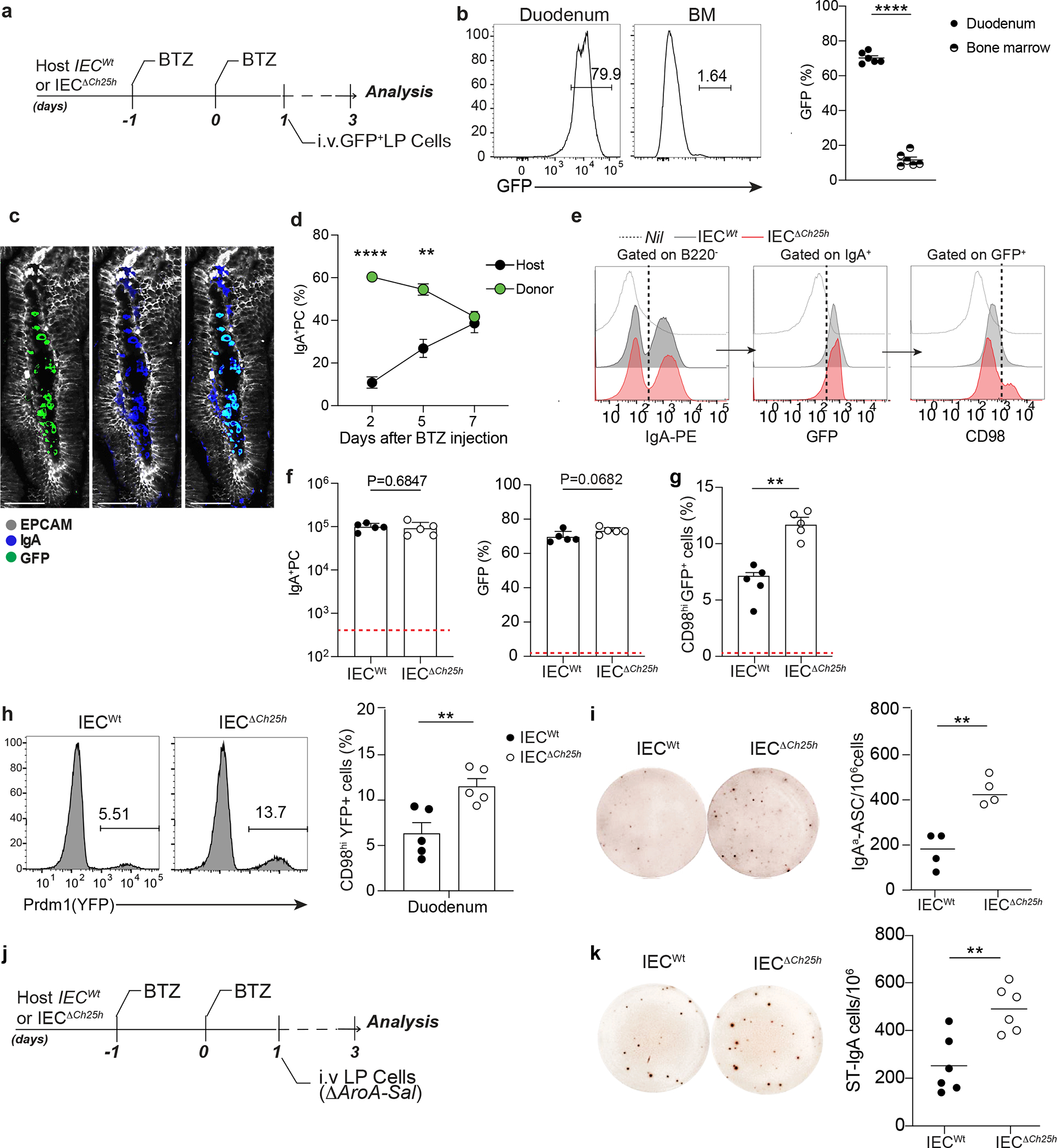 Figure 4: