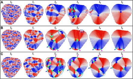 Fig. 4