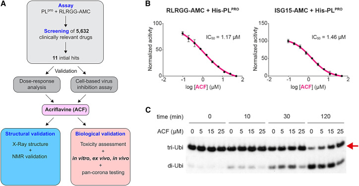 Figure 1