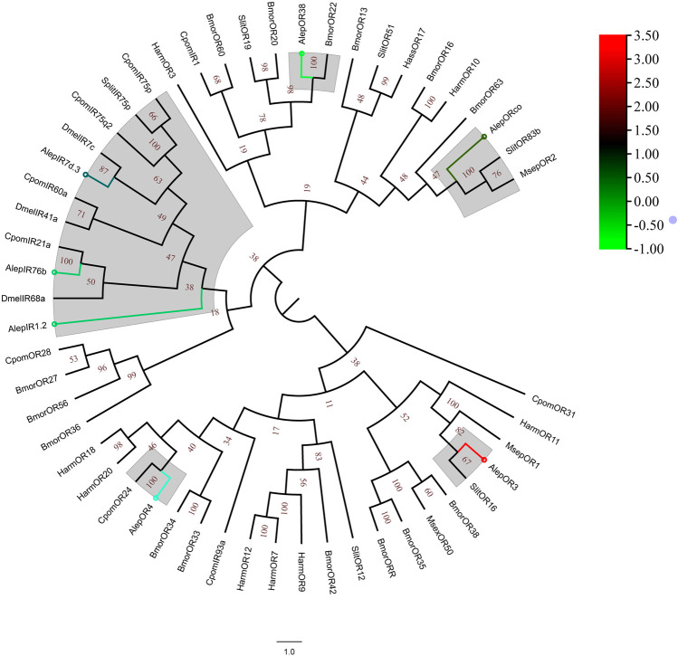 FIGURE 6