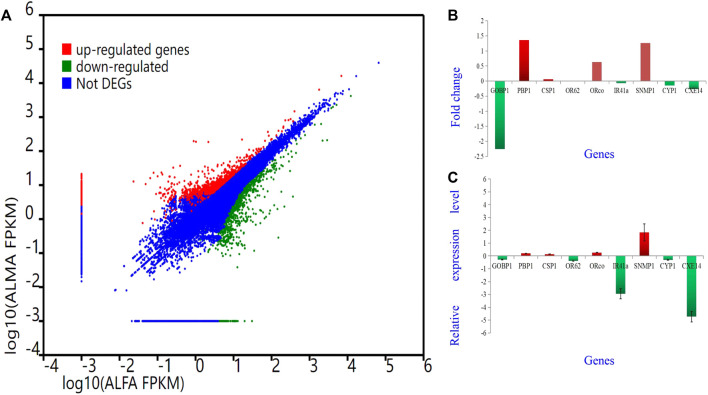 FIGURE 10