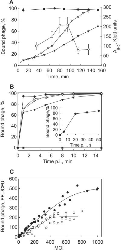 FIG. 1.